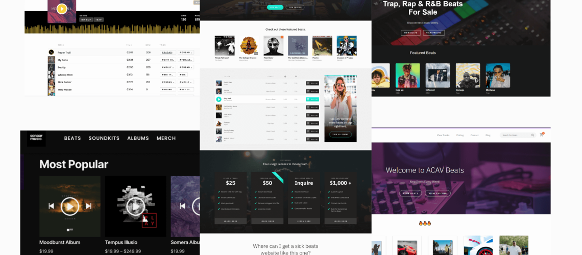 Wordpress Producer Website